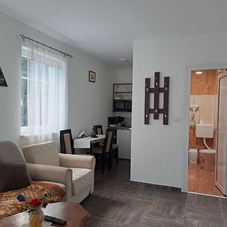 Vila Mozart - Apartments & Studios Kopaonik Extérieur photo