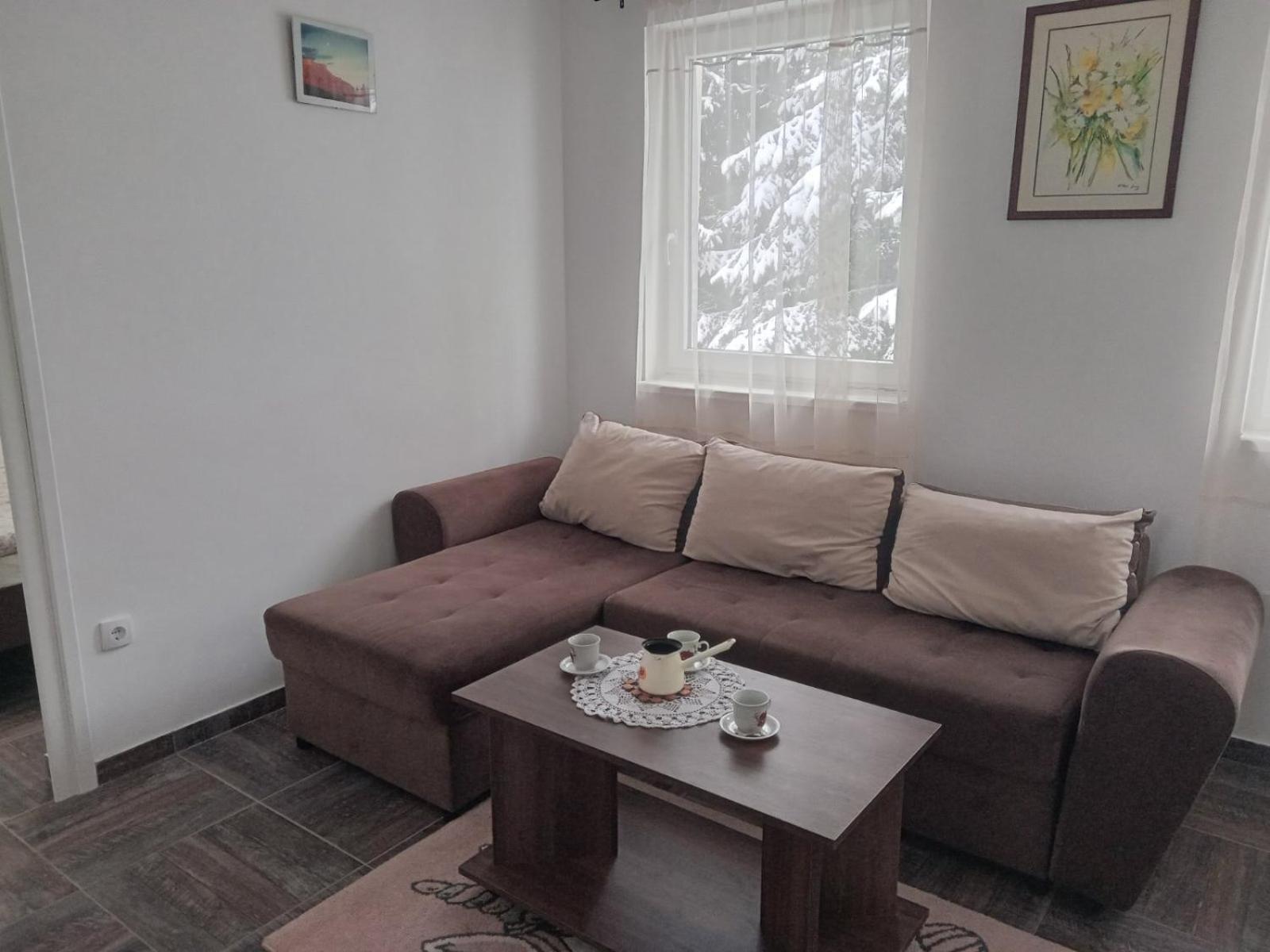 Vila Mozart - Apartments & Studios Kopaonik Extérieur photo