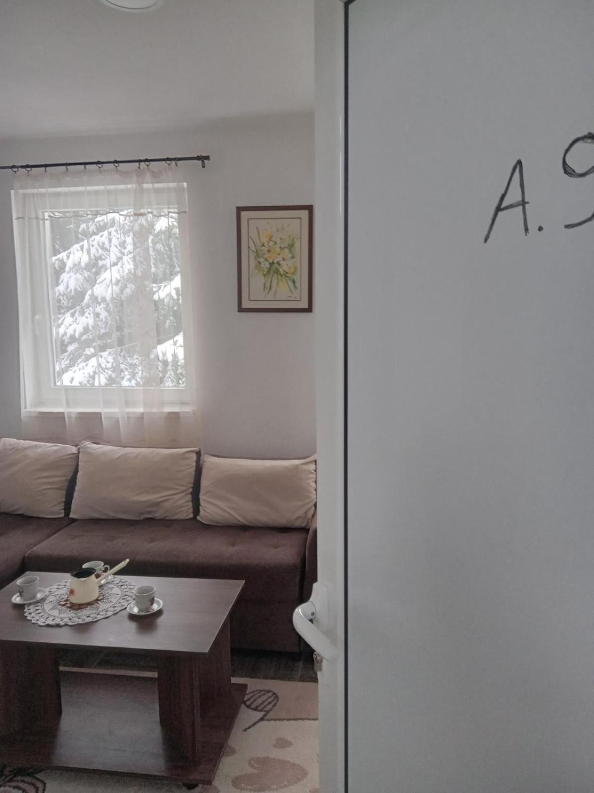 Vila Mozart - Apartments & Studios Kopaonik Extérieur photo