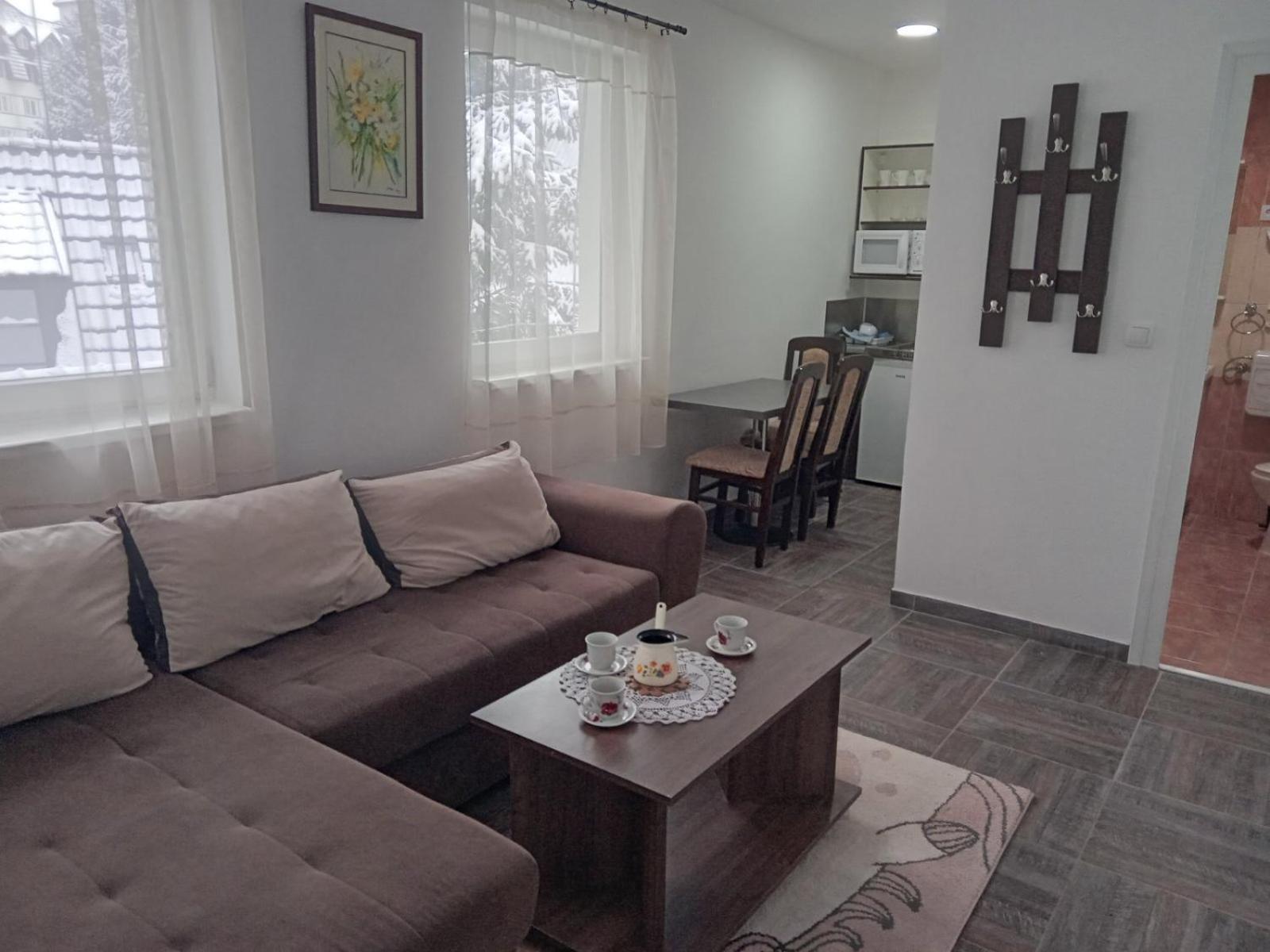 Vila Mozart - Apartments & Studios Kopaonik Extérieur photo