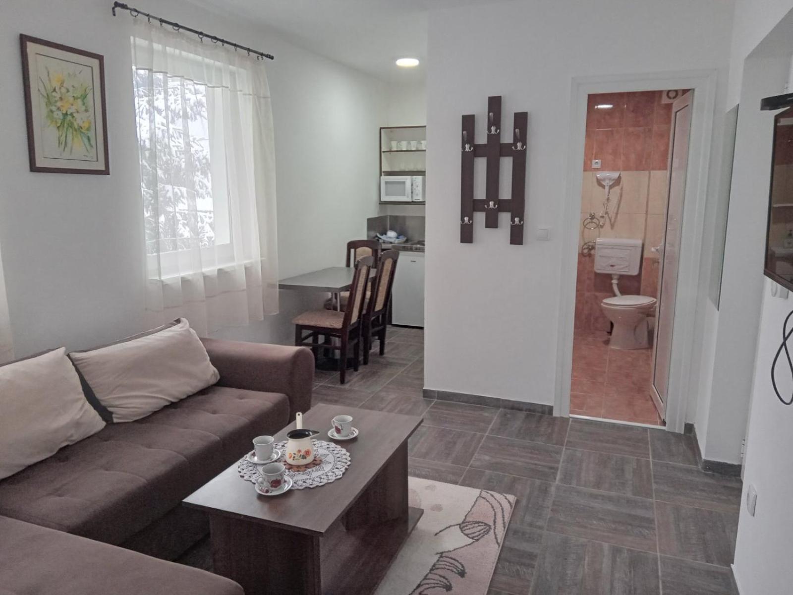 Vila Mozart - Apartments & Studios Kopaonik Extérieur photo