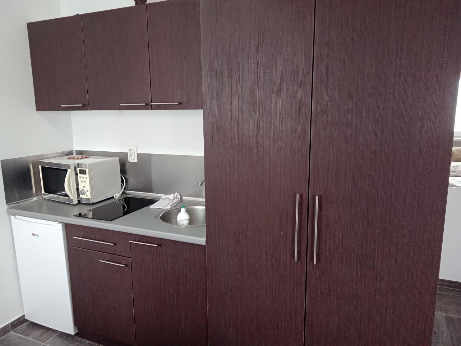 Vila Mozart - Apartments & Studios Kopaonik Extérieur photo