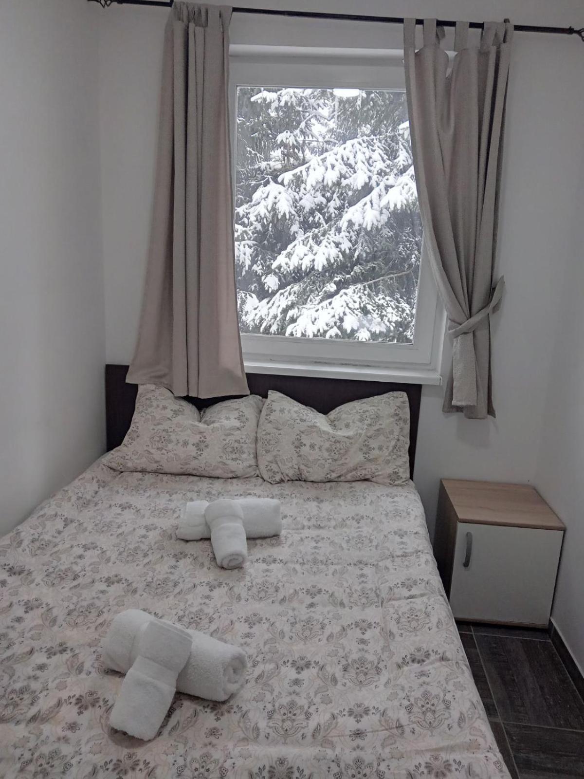 Vila Mozart - Apartments & Studios Kopaonik Extérieur photo