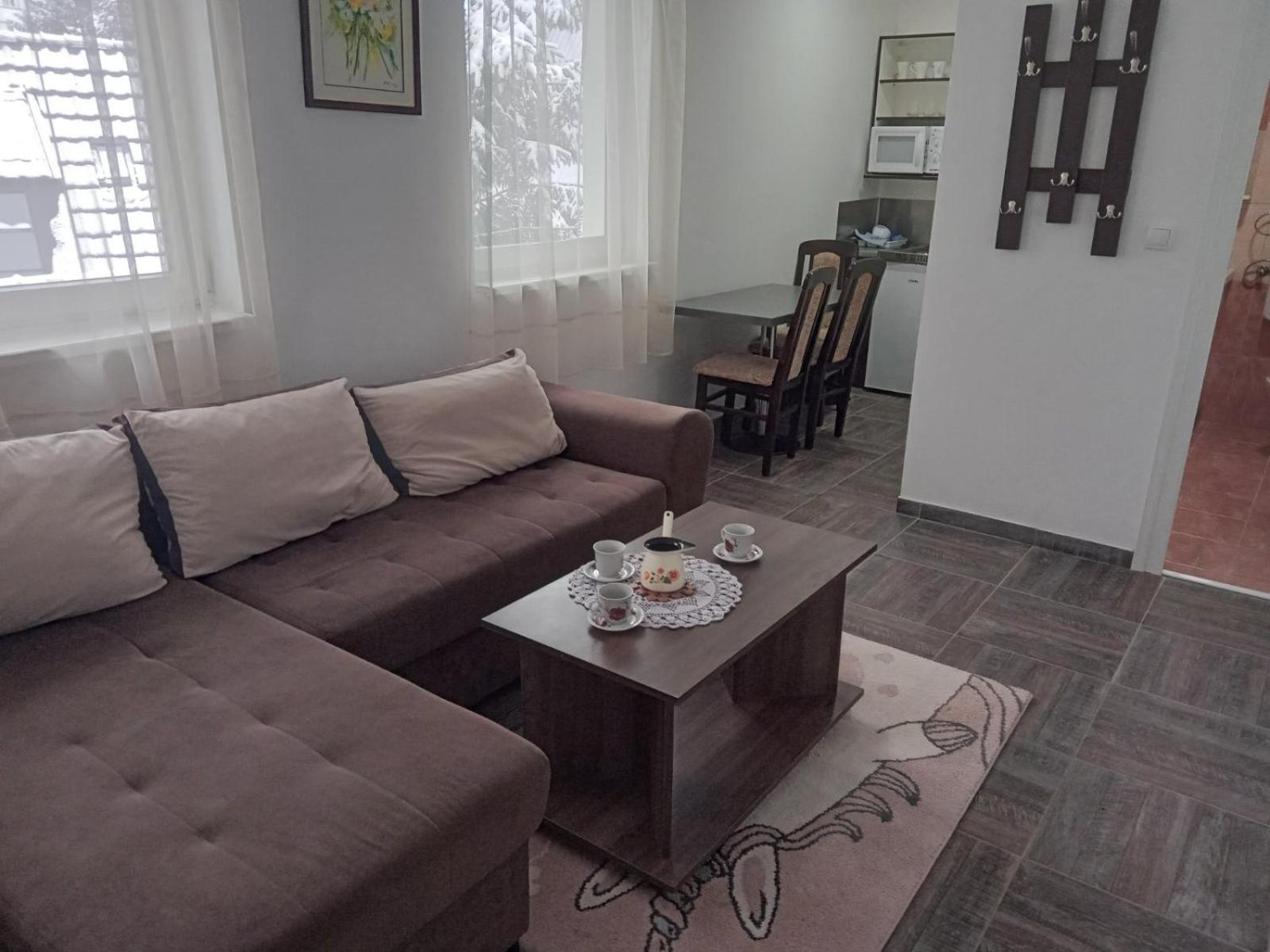 Vila Mozart - Apartments & Studios Kopaonik Extérieur photo