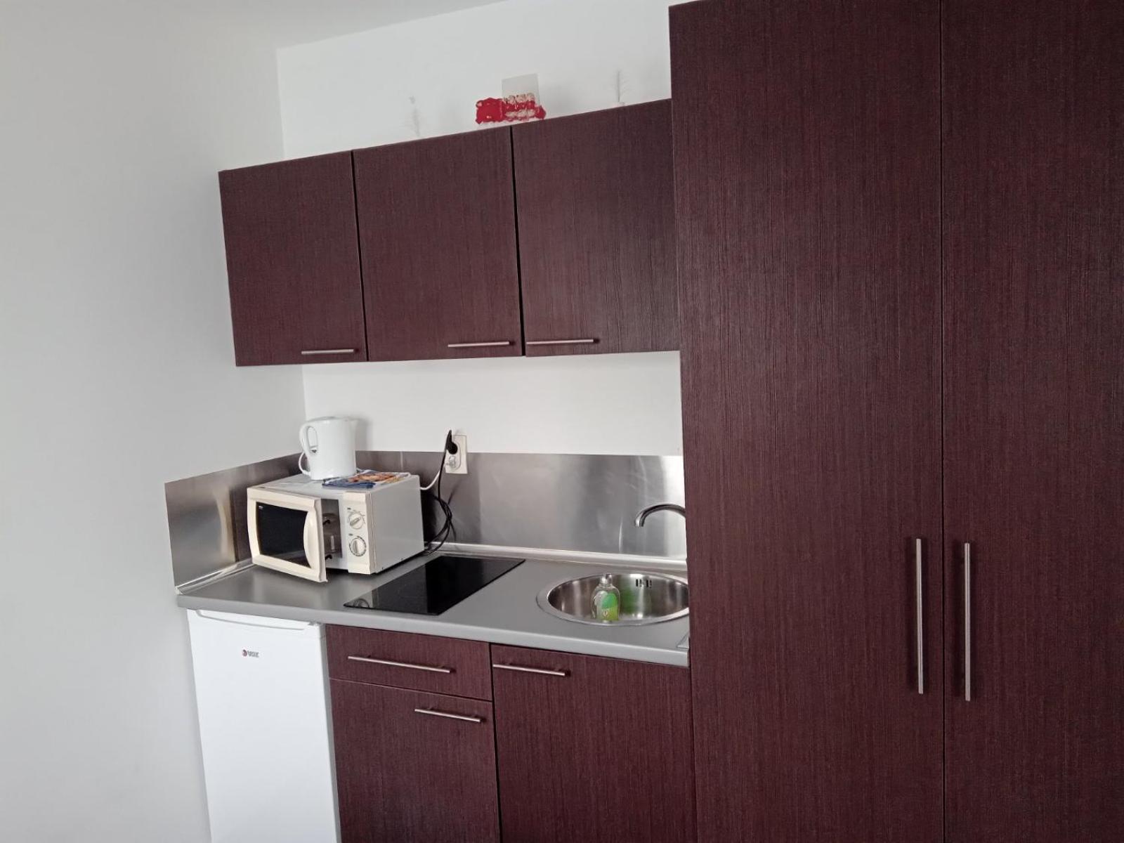Vila Mozart - Apartments & Studios Kopaonik Extérieur photo