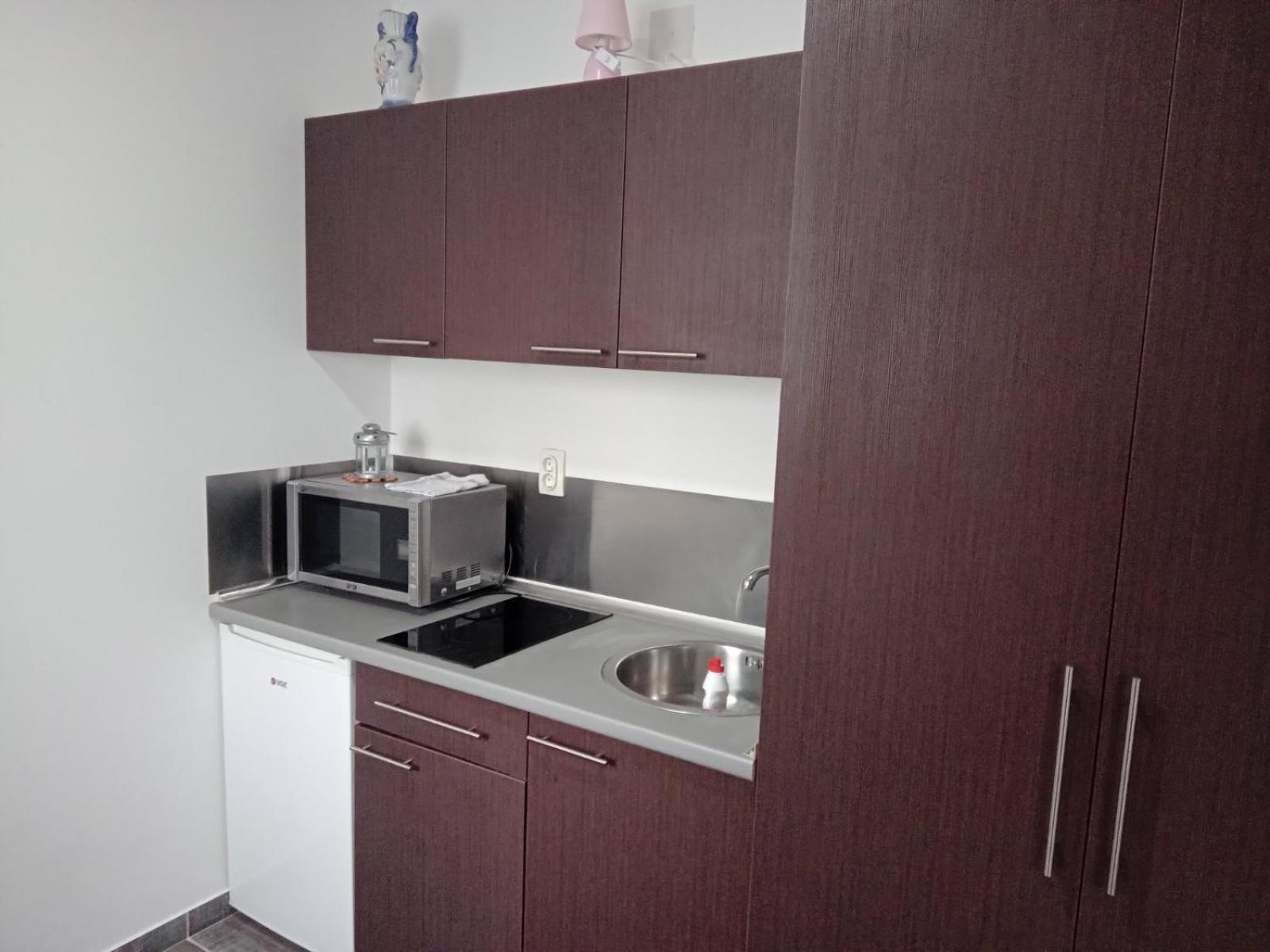 Vila Mozart - Apartments & Studios Kopaonik Extérieur photo