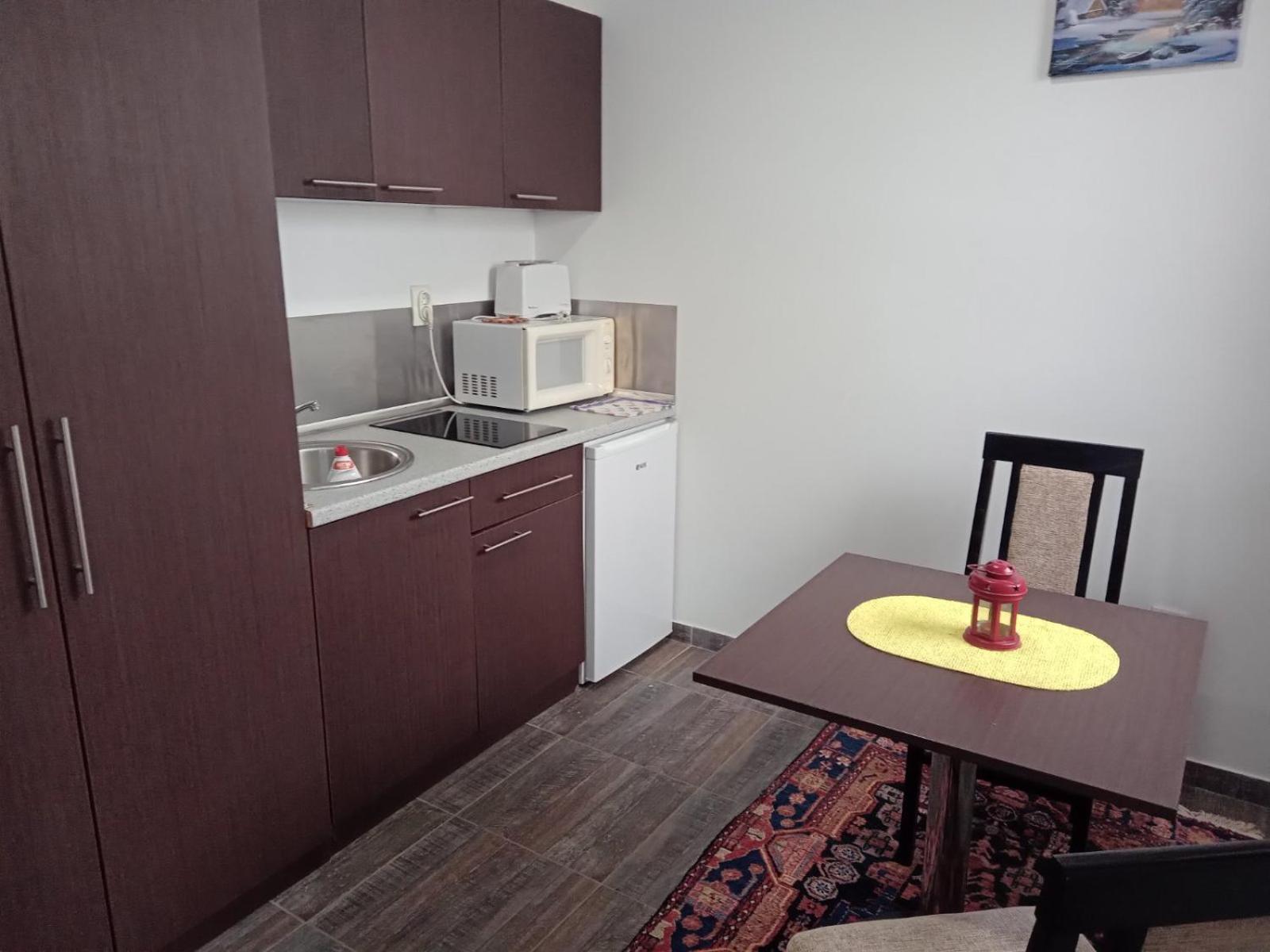 Vila Mozart - Apartments & Studios Kopaonik Extérieur photo